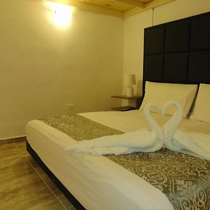 Loft King Suite